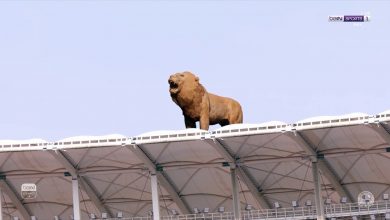 أبرز المشاهد من حفل افتتاح كأس أمم أفريقيا بالكاميرون