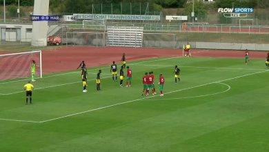 أهداف مباراة المنتخب المحلي 3-0 جامايكا (دوري النمسا الدولي)